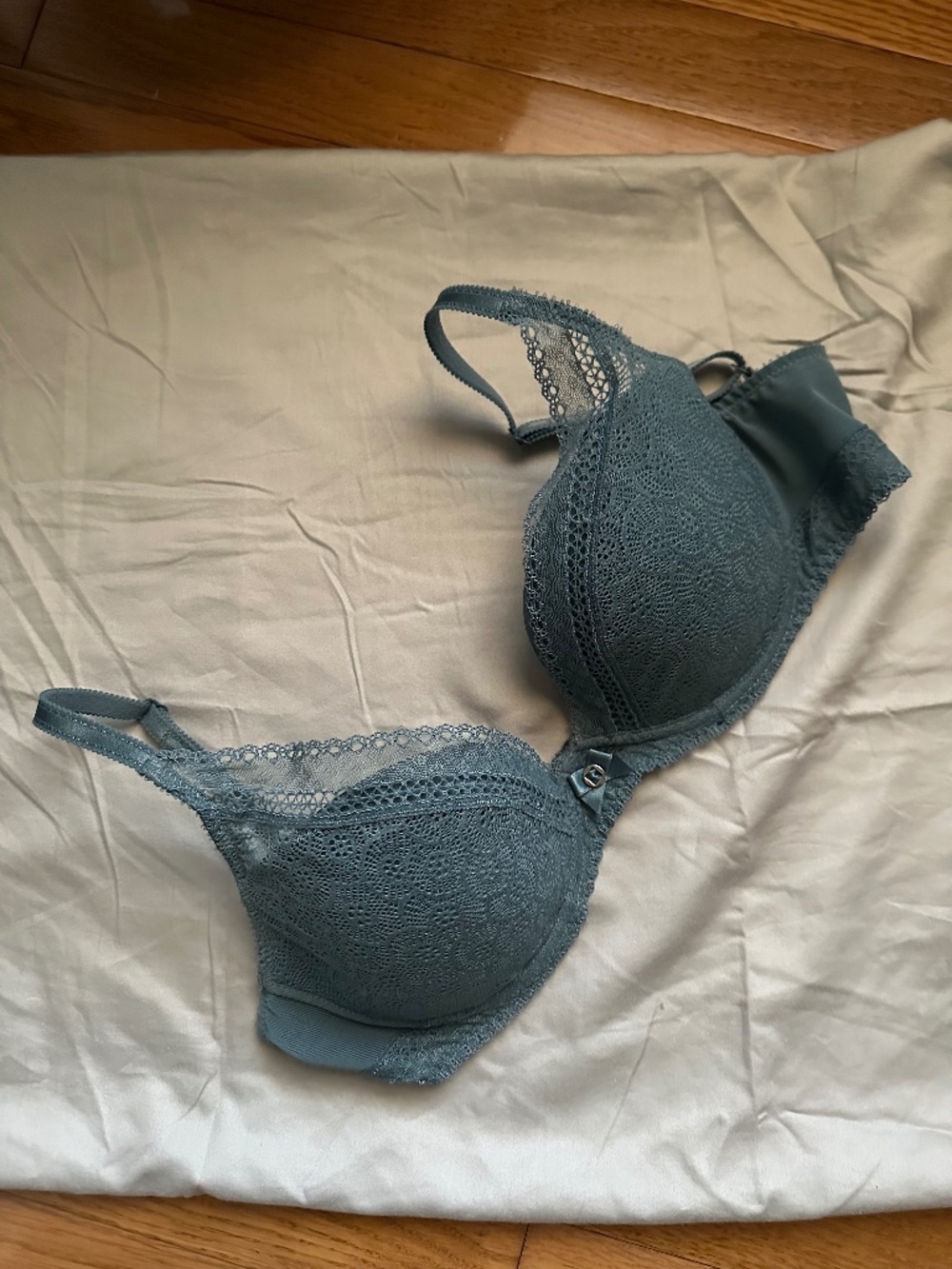Chantelle Festivite Lace Plunge Bra 32DD (EU 70E/32E) in blue